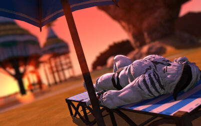 "Catching morning rays..."