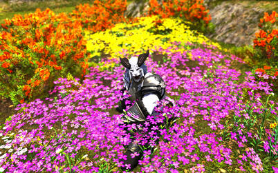 "These flowers tickle nose!"